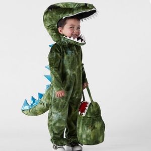 T Rex Costume WITH matching Treat Bag